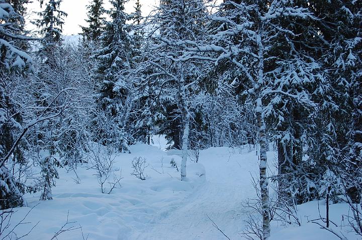 vemdalen 134.jpg - vgen till liften frn huset